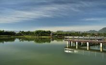 龙泉湖湿地13