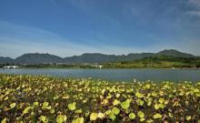 龙泉湖湿地12