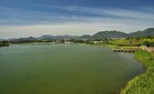 龙泉湖湿地1