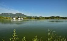 龙泉湖湿地4