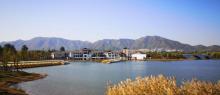 龙泉湖湿地26