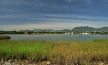 龙泉湖湿地3