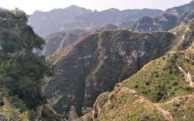 千佛山森林公园1