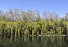 龙潭峡谷风景区6