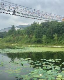 青州杏花村旅游度假区21