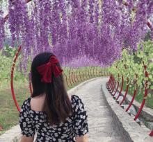 青州杏花村旅游度假区20