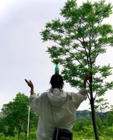 青州杏花村旅游度假区30