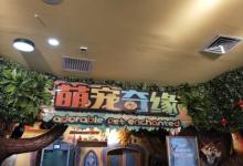 萌宠奇缘7