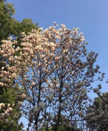 西山森林公园4