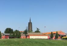 临济寺澄灵塔19
