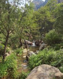 房干生态景区19