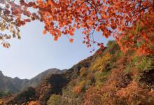 白银坨旅游风景区25