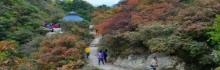 白银坨旅游风景区18