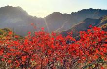 白银坨旅游风景区23
