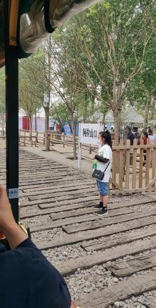 正定古城樱花小镇12