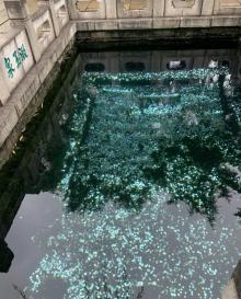 漱玉泉11