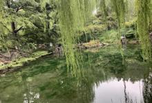 漱玉泉12
