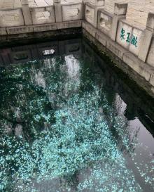 漱玉泉13