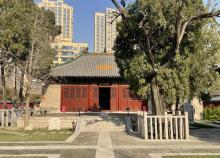 兴福寺6