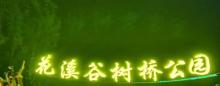 花溪谷树桥公园11