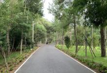 秦皇岛海滨国家森林公园5
