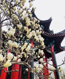 铁公祠19