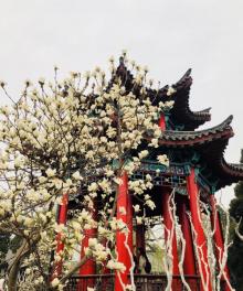 铁公祠17