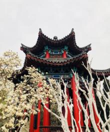 铁公祠18