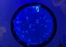 保定科技海洋中心24