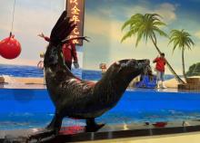 保定科技海洋中心11