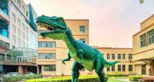 地球科学博物馆1