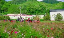 民族风情园28