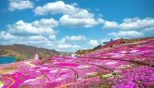 雨花谷生态观光园9