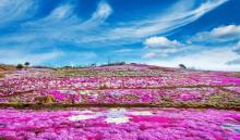 雨花谷生态观光园7