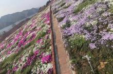 雨花谷生态观光园20