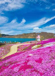 雨花谷生态观光园10