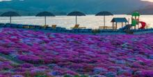 雨花谷生态观光园27
