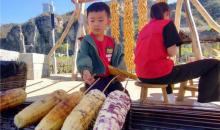恋乡农场(玉米冒险村)7