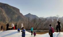 恋乡农场(玉米冒险村)29