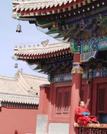 蔚州古城20