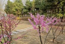 保定植物园19
