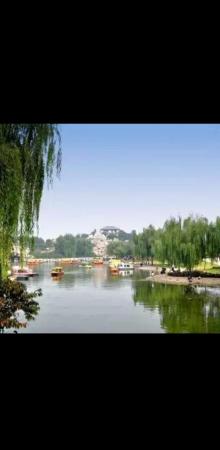 保定植物园29