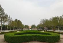 保定植物园8