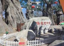 保定植物园2