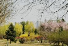 保定植物园22