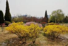 保定植物园20