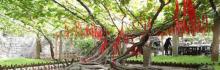 葡萄沟风景区20