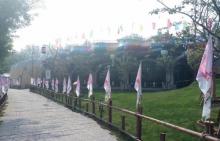 西纸坊黄河古村7