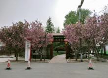 博兴县打渔张森林公园4