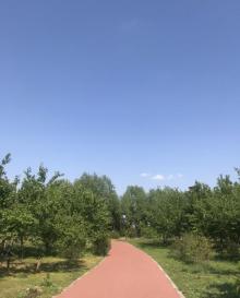 东营植物园13